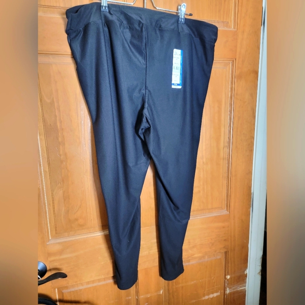 Terra & Sky Womens Leggings
